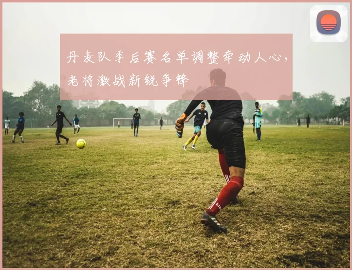 丹麦队季后赛名单调整牵动人心，老将激战新锐争锋